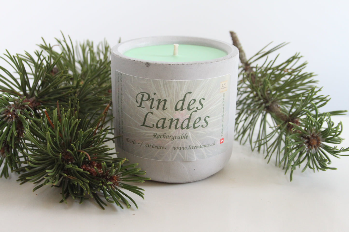 Bougie parfumée béton Pin des Landes