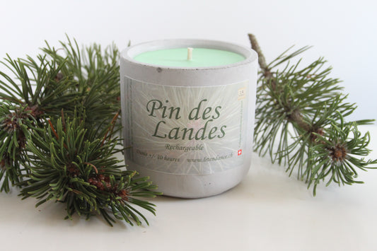 Bougie parfumée béton Pin des Landes