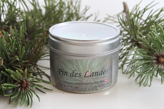 Bougie boîte – Pin des Landes