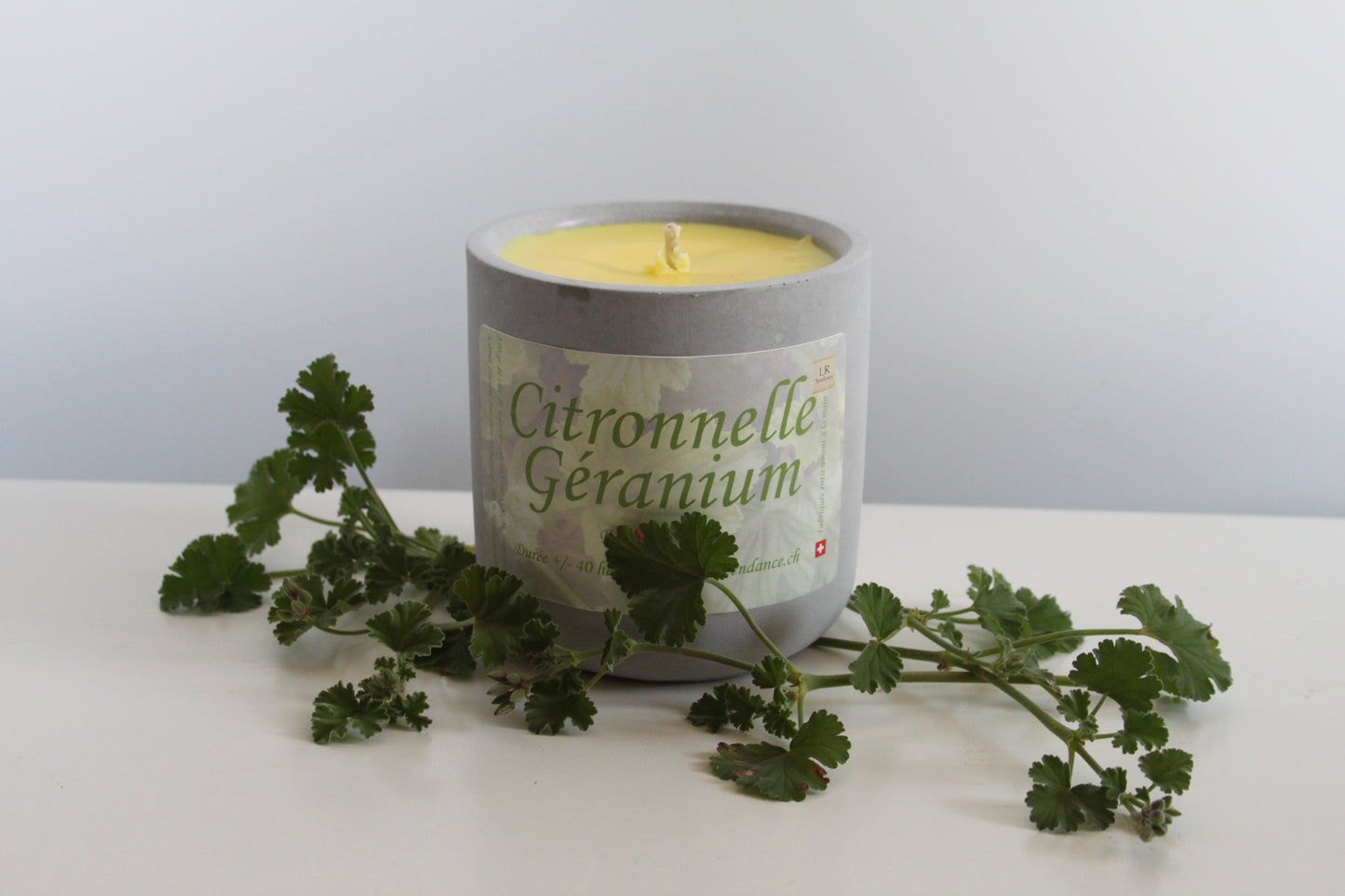 Bougie parfumée béton Citronnelle-Géranium