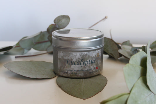 Bougie boîte – Eucalyptus
