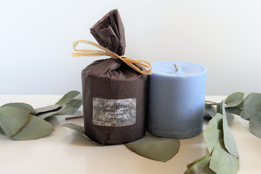 Recharge de cire Eucalyptus