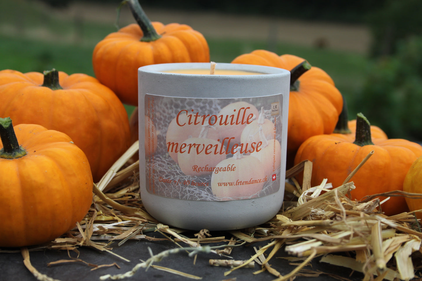 Bougie parfumée béton Citrouille merveilleuse