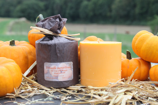 Recharge de cire Citrouille merveilleuse
