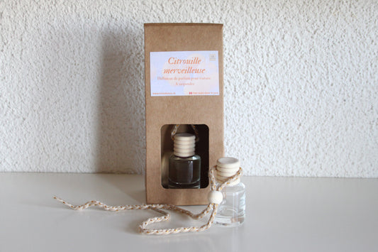 Diffuseur de parfum pour voiture – Citrouille merveilleuse